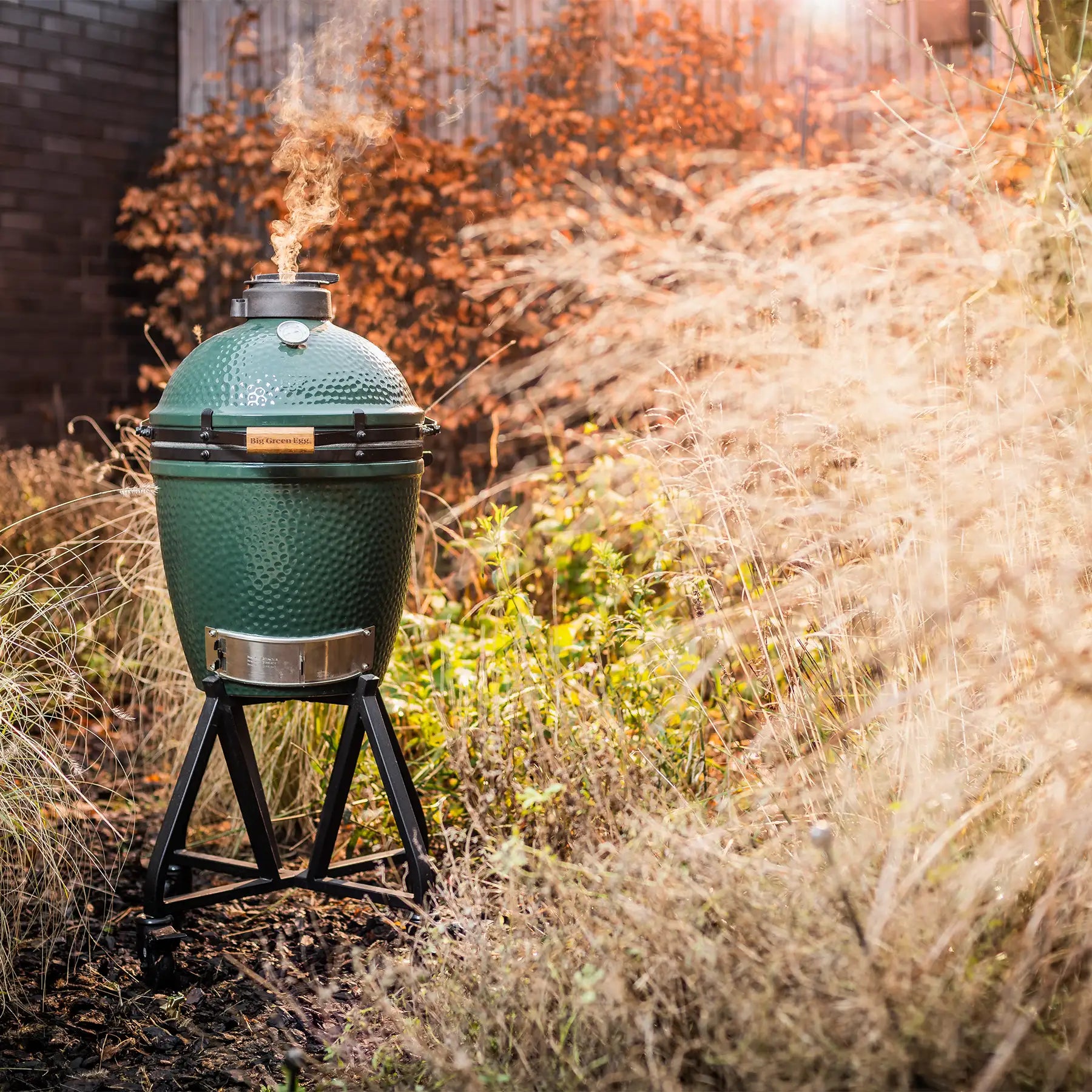 Medium Big Green Egg in trolley