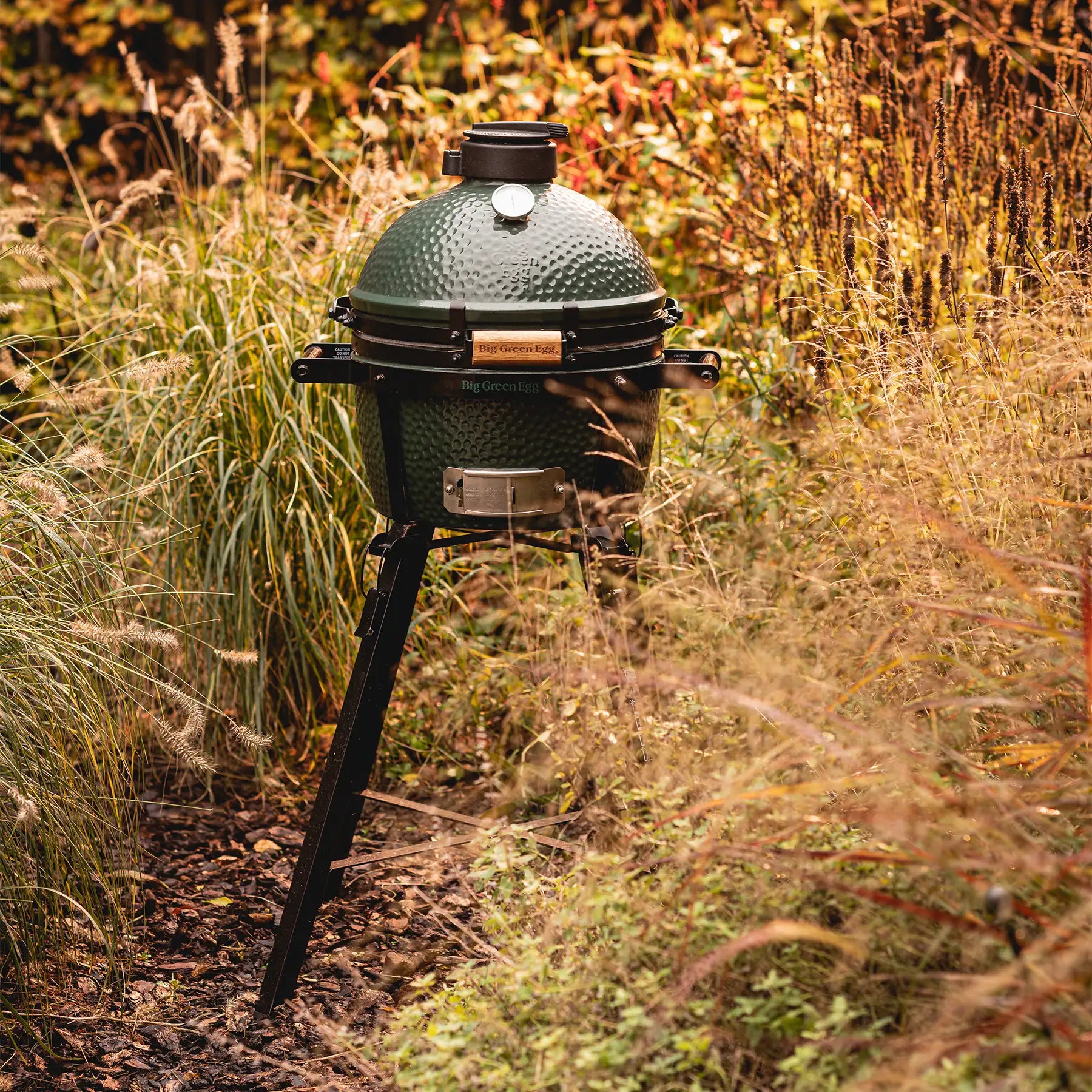 Minimax Big Green Egg with mobile stand
