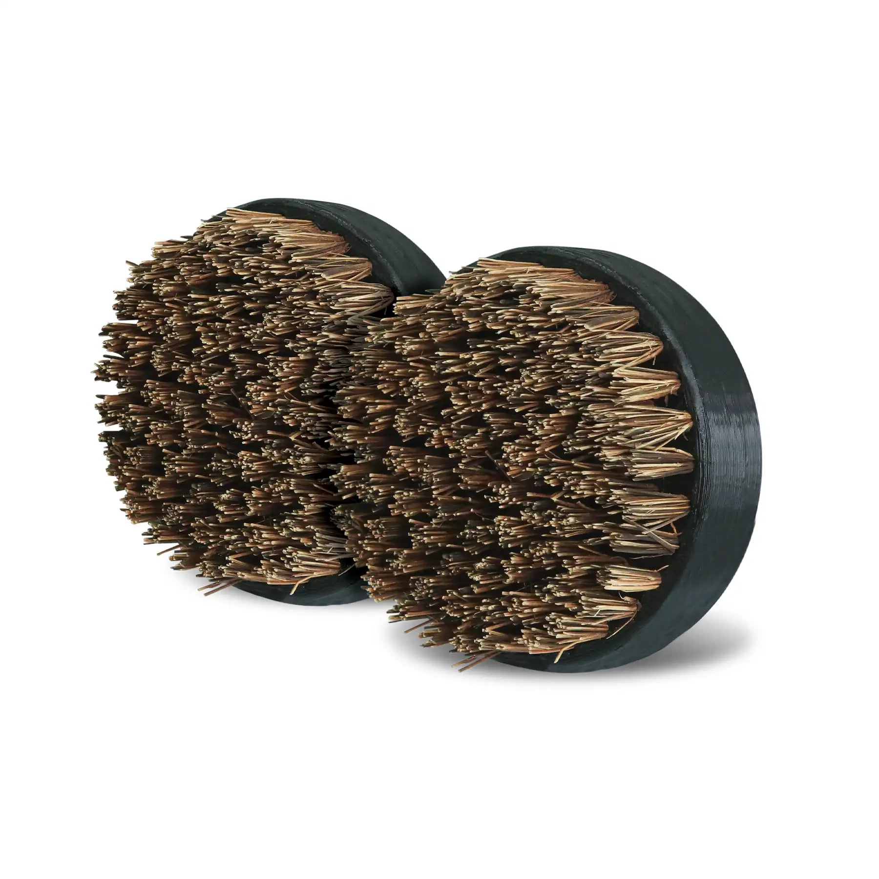 2 Tampons de remplacement pour SpeediClean™