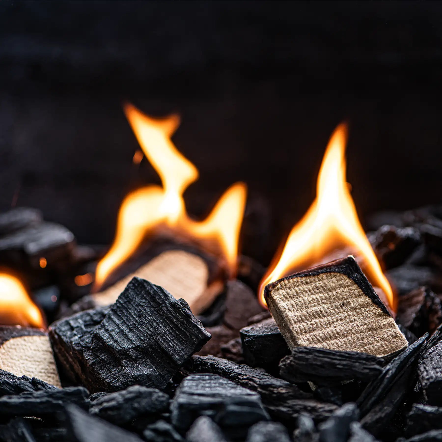 Essential fuel starter bundle