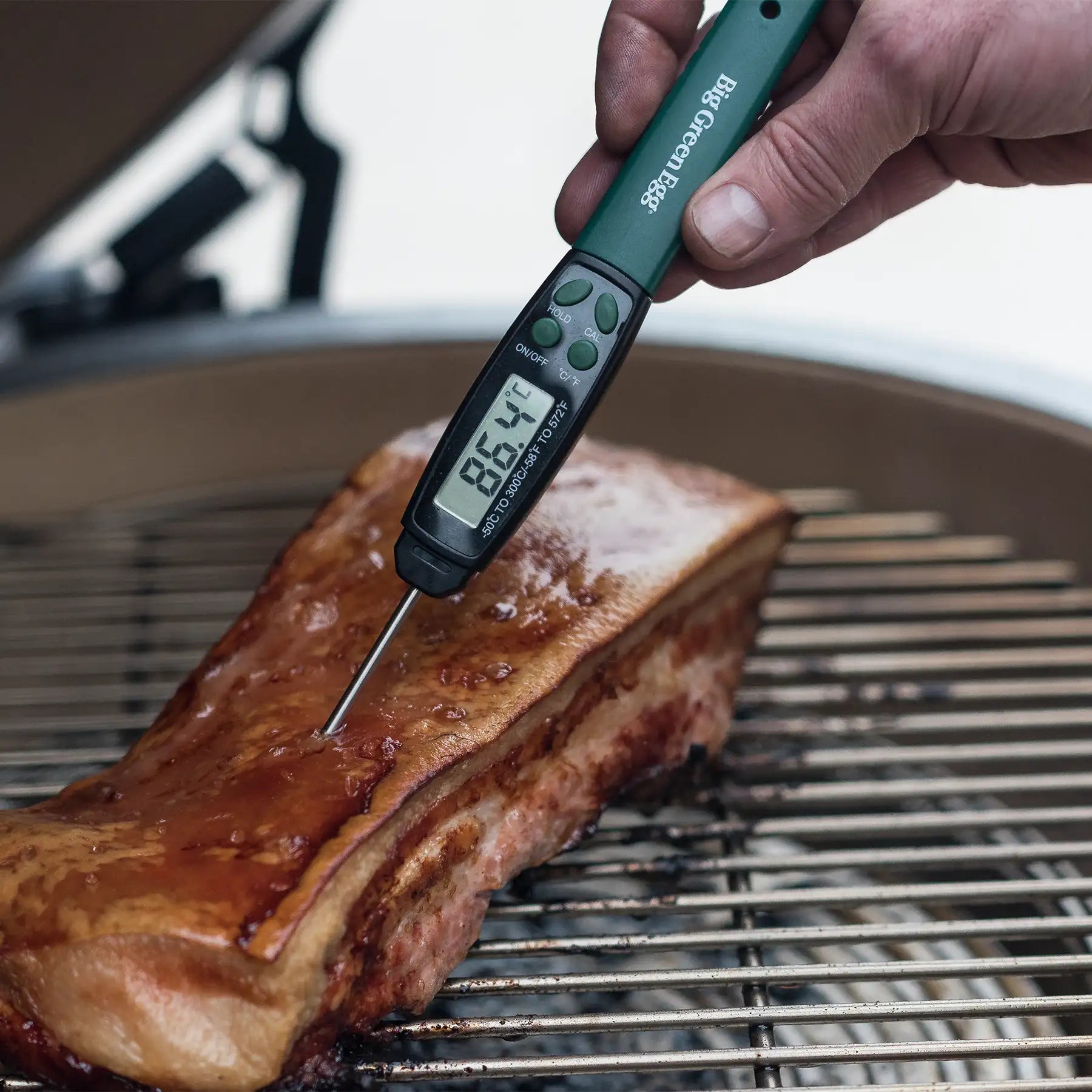 Einsteckthermometer Quick-Read